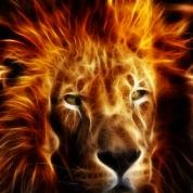 lionfire