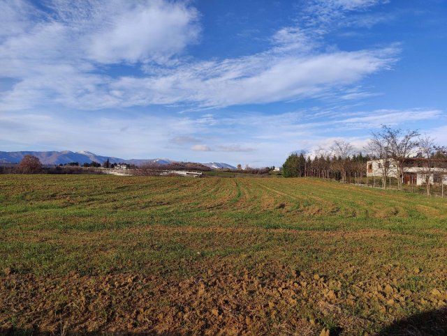 Photo2.jpg