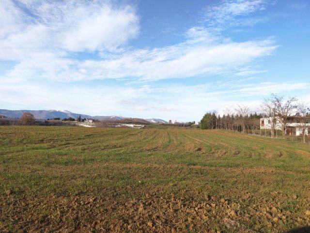 Photo2pro.jpg