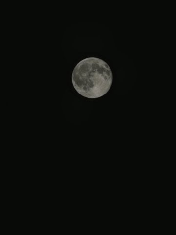 20230308_011328.jpg