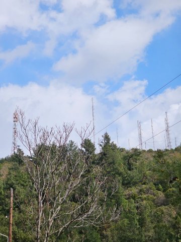 20230326_133024.jpg