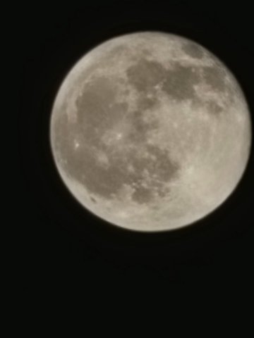 20230407_002955.jpg