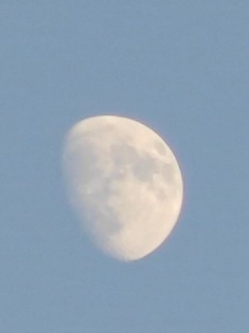 IMG_20230728_201823.jpg