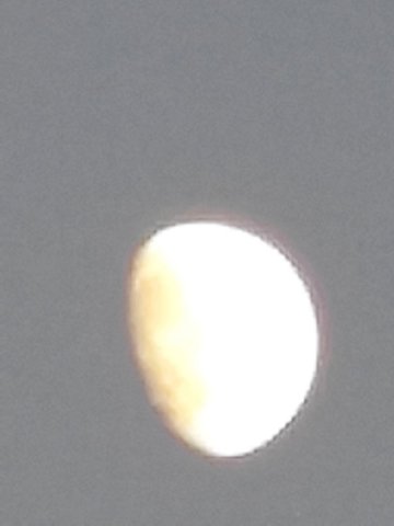IMG_20230728_204427.jpg