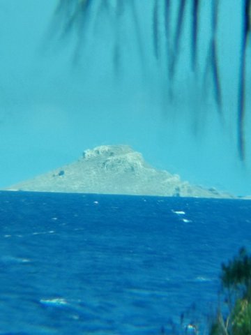 IMG_20230813_152548.jpg