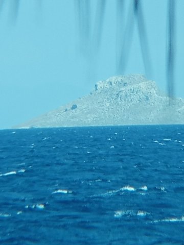 IMG_20230813_152718.jpg
