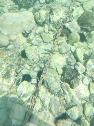 IMG_20240706_125839.jpg
