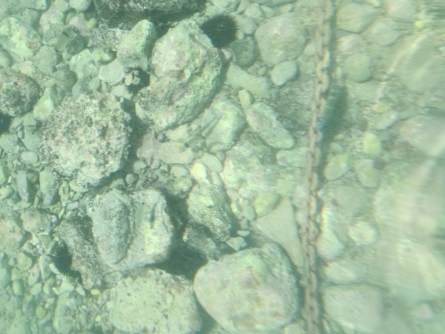 IMG_20240706_125921.jpg