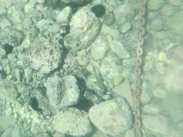 IMG_20240706_125924.jpg