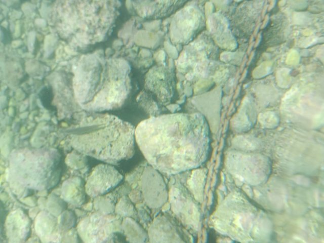 IMG_20240706_125942.jpg