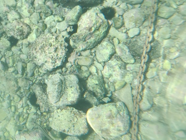 IMG_20240706_125956.jpg