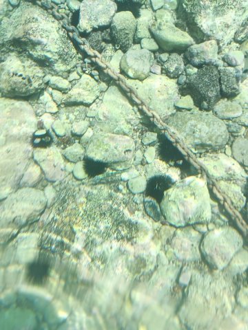 IMG_20240706_130046.jpg