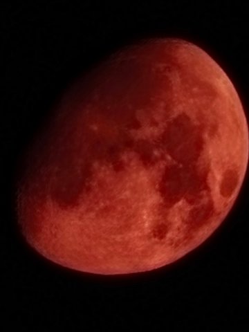 IMG20240816014213.jpg