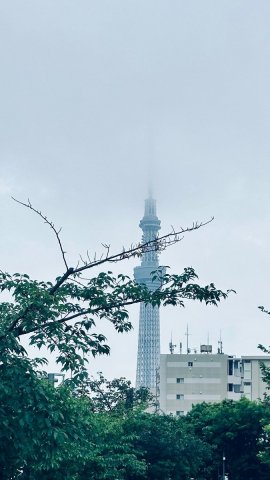 IMG_7120.jpeg