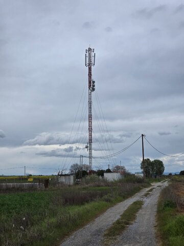20260327_141524.jpg