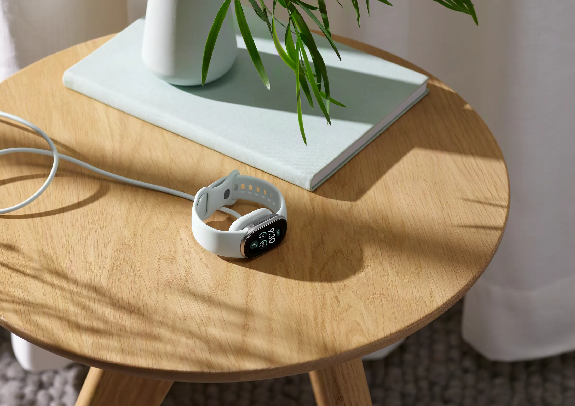 Fitbit Edge
